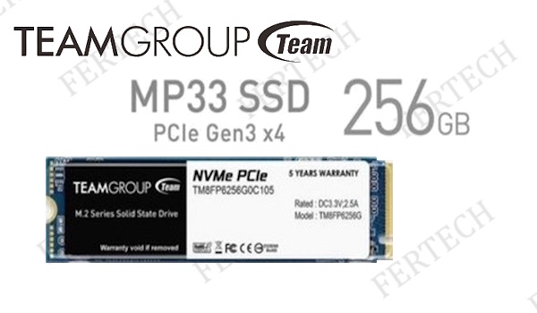 Teamgroup  MP33 256GB